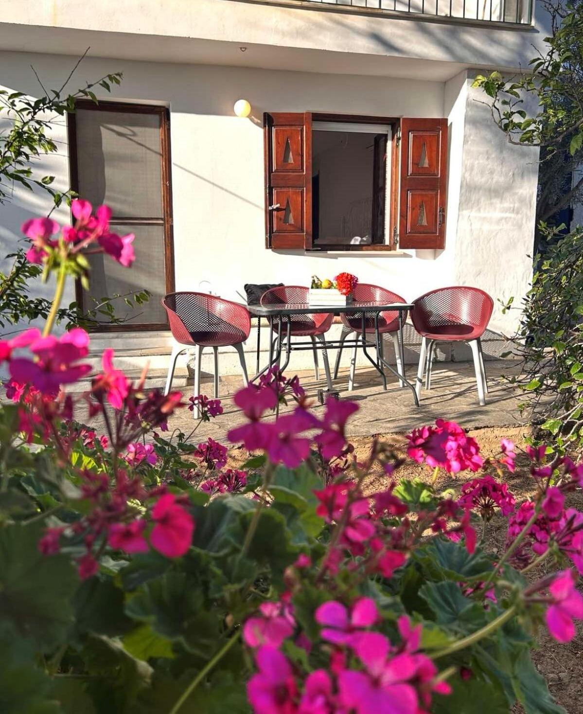 Grandpa Simos' Traditional Guest House Agios Romanos Eksteriør billede
